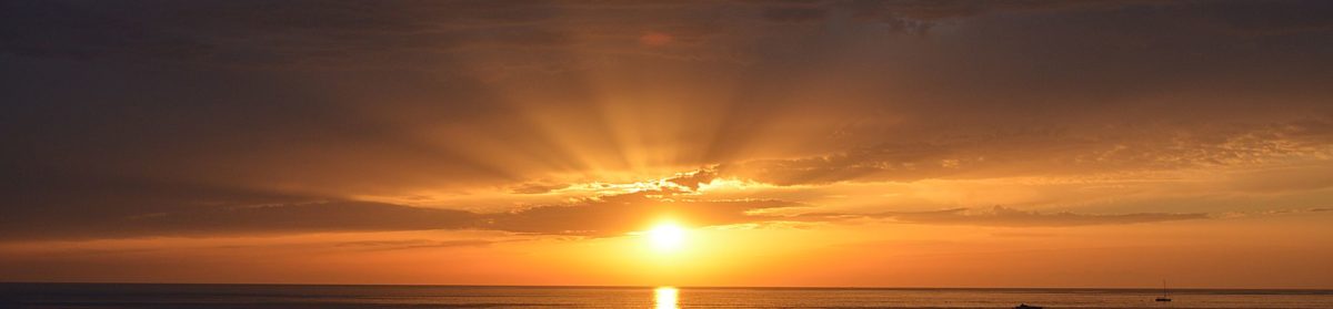 Optosmart s.r.l. – Sistemi di monitoraggio basati su sensori in fibra ottica